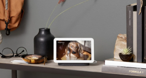 Echo Show 8 vs Google Nest Hub differenza